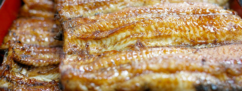 Pesce d'acqua dolce, Soave